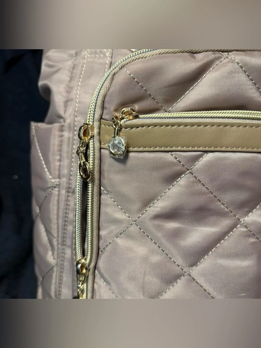 Bagsmart organizers bag